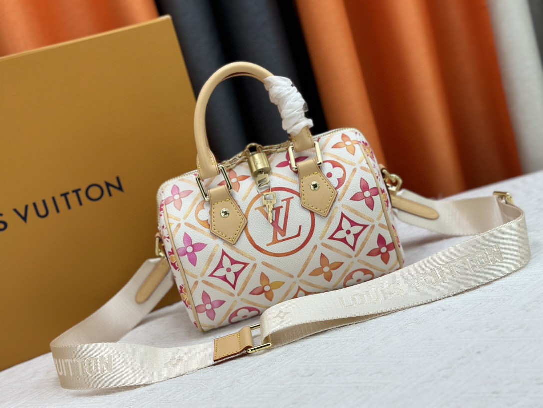 LV bag 569